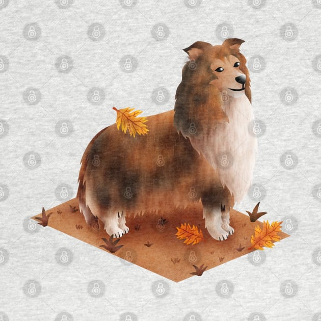 Rough Collie (Shetland Sheepdog) by CleanRain3675